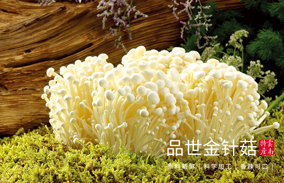 金狮贵宾会_尊贵显赫金针菇