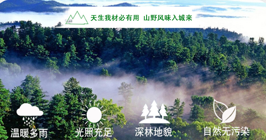 金狮贵宾会_尊贵显赫嫩竹笋