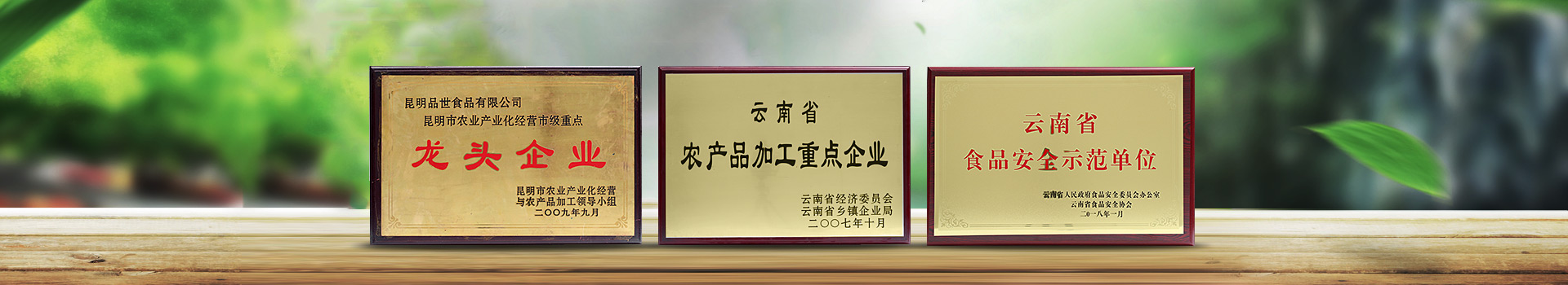 关于金狮贵宾会_尊贵显赫食品