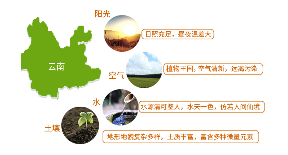 金狮贵宾会_尊贵显赫食品