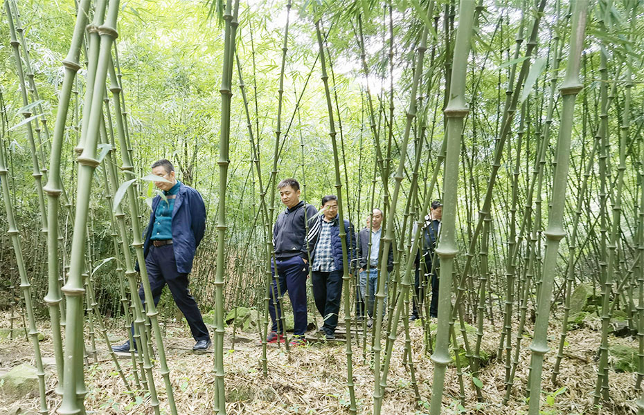 金狮贵宾会_尊贵显赫