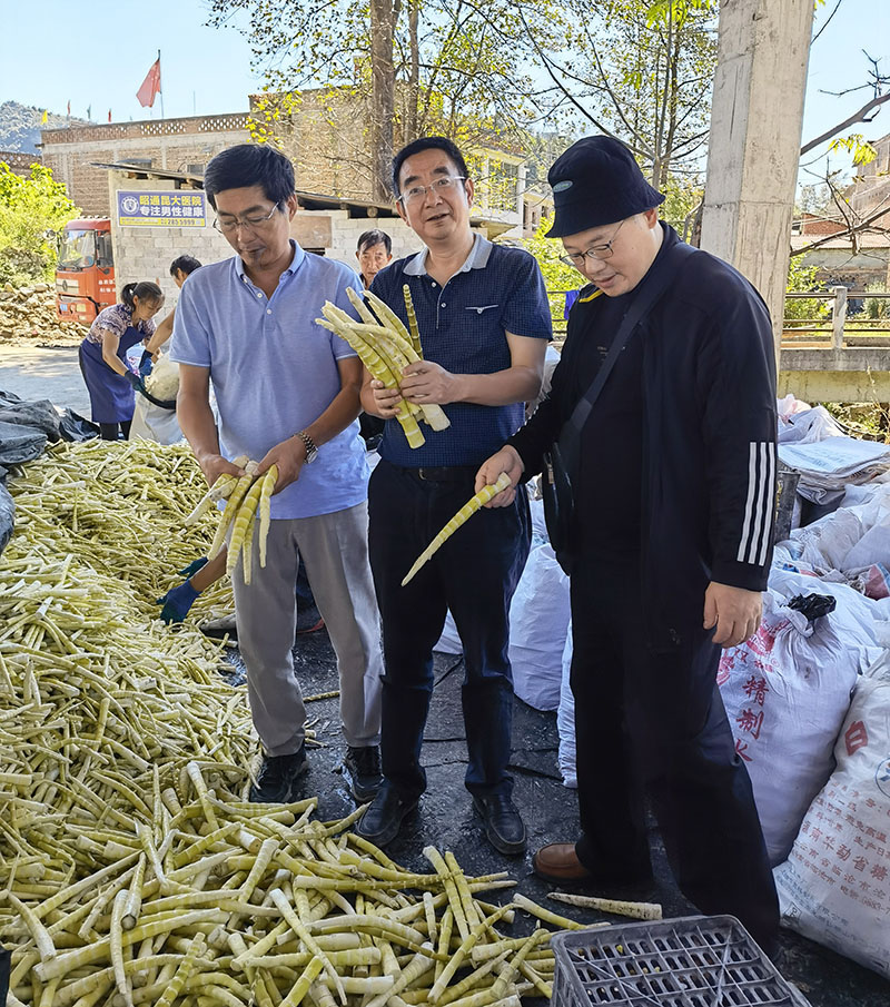 金狮贵宾会_尊贵显赫笋尖零食