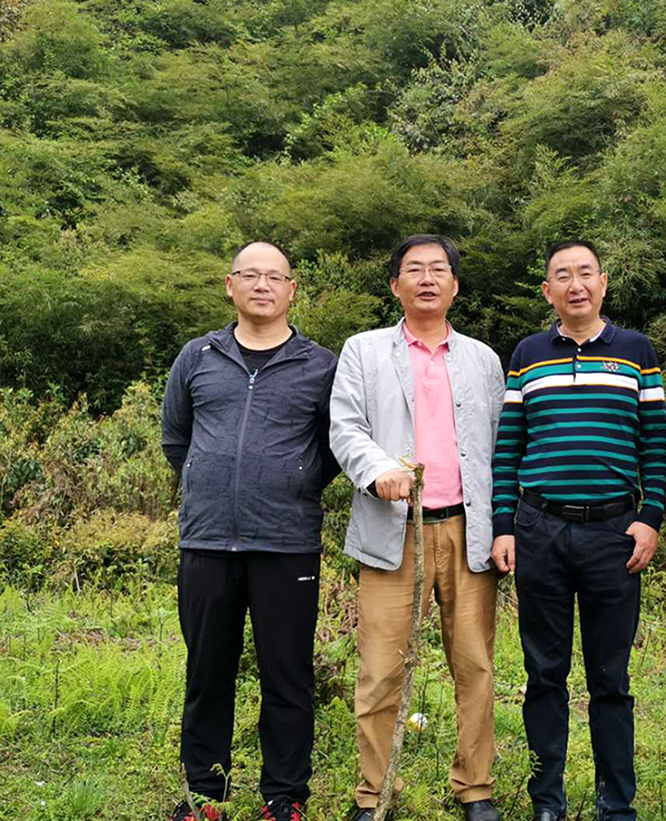 金狮贵宾会_尊贵显赫