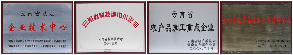 金狮贵宾会_尊贵显赫食品
